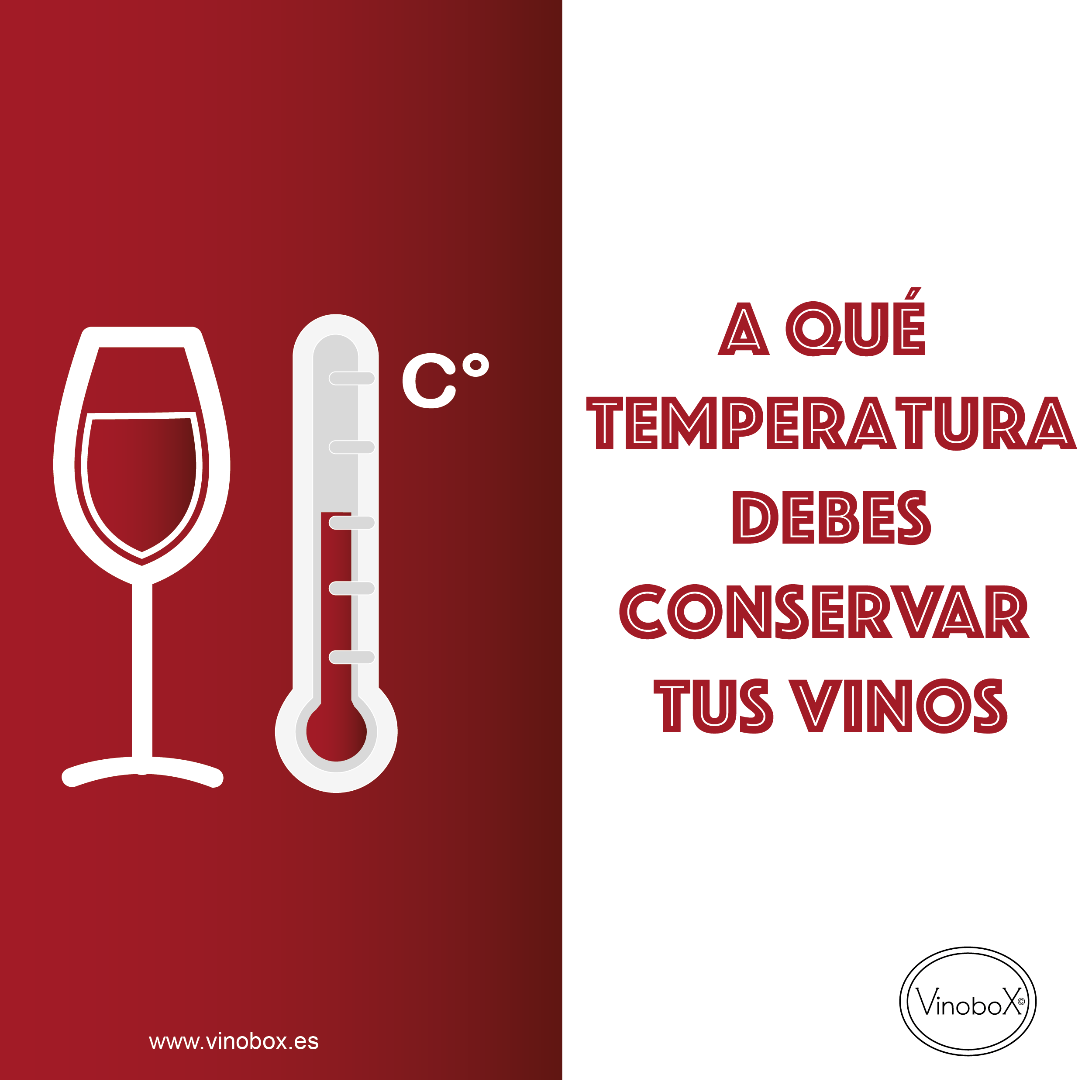 A qué temperatura debes conservar tus vinos