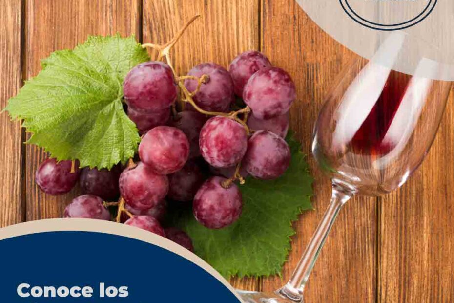 tipos de uva para vinos