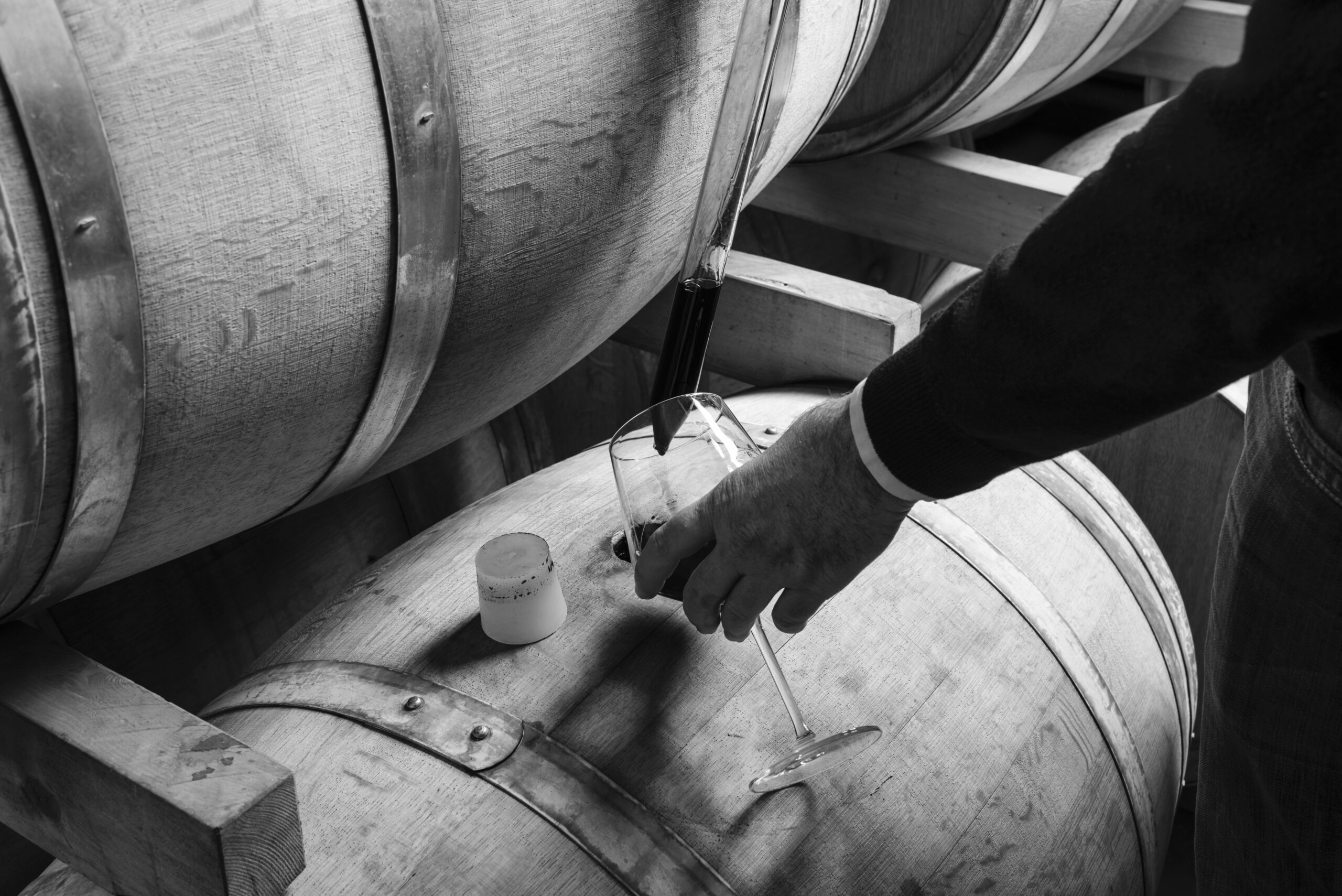 Descubre el sabor auténtico de los vinos de bellota